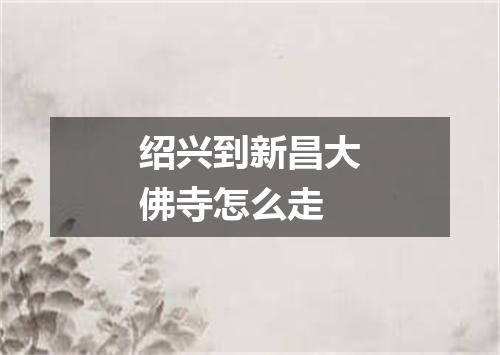 绍兴到新昌大佛寺怎么走