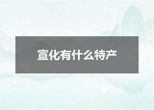 宣化有什么特产