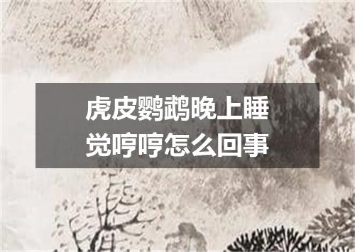 虎皮鹦鹉晚上睡觉哼哼怎么回事