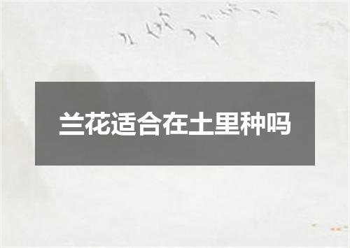 兰花适合在土里种吗