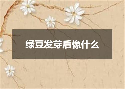 绿豆发芽后像什么