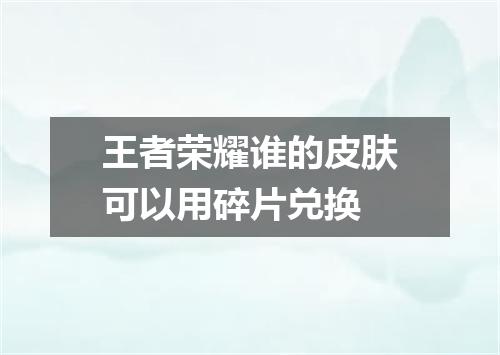 王者荣耀谁的皮肤可以用碎片兑换