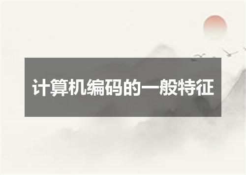 计算机编码的一般特征