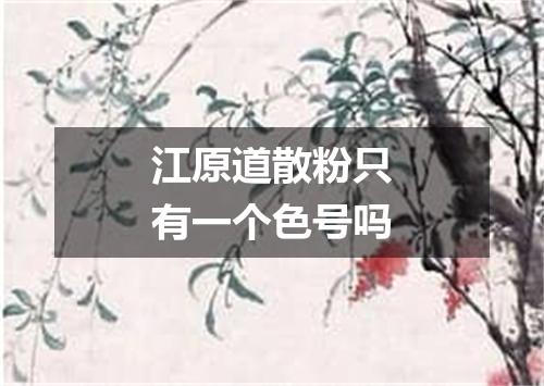 江原道散粉只有一个色号吗
