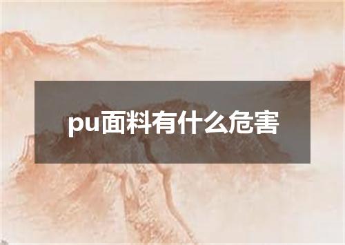 pu面料有什么危害