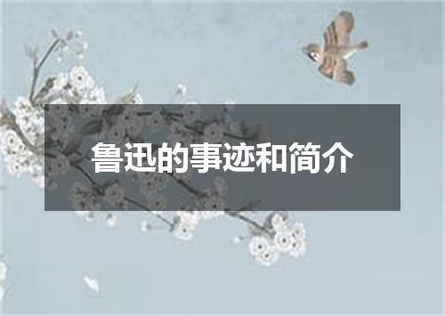 鲁迅的事迹和简介