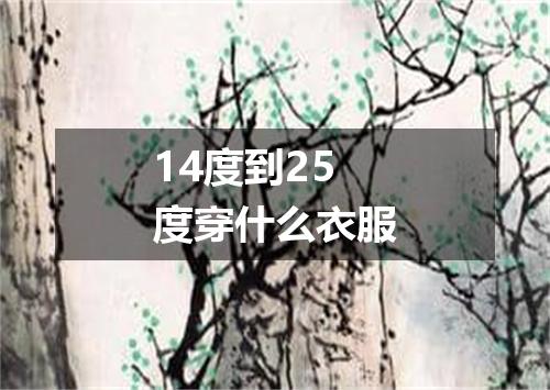 14度到25度穿什么衣服