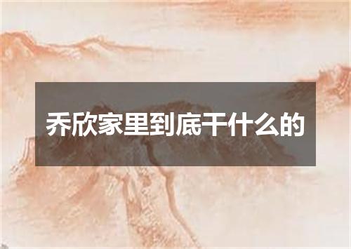 乔欣家里到底干什么的