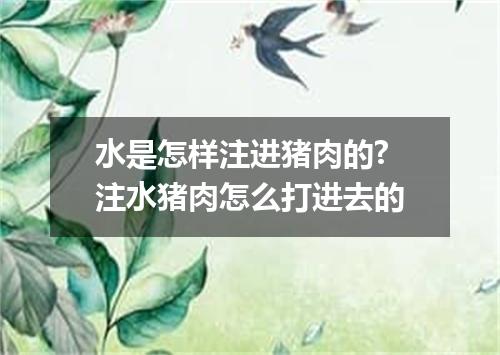 水是怎样注进猪肉的? 注水猪肉怎么打进去的