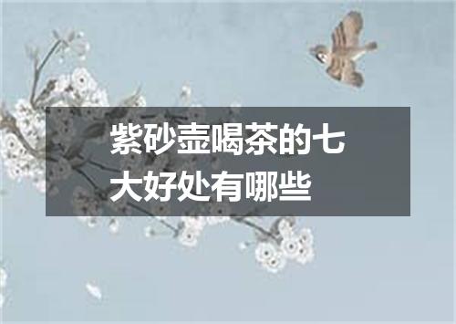 紫砂壶喝茶的七大好处有哪些