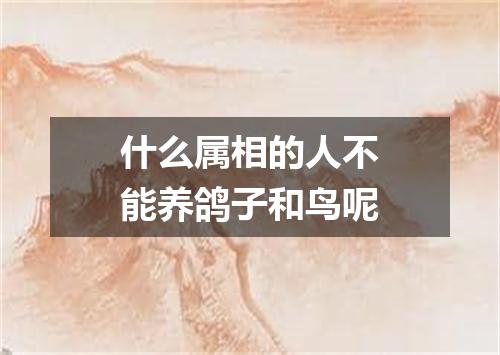 什么属相的人不能养鸽子和鸟呢