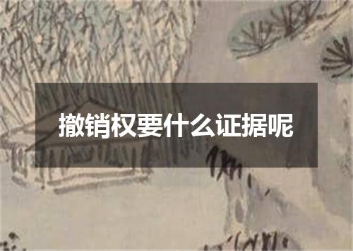 撤销权要什么证据呢