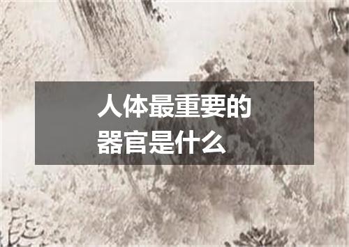 人体最重要的器官是什么