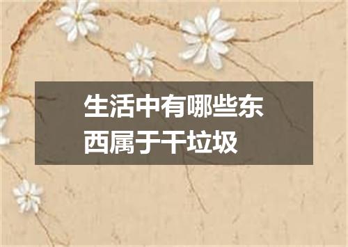 生活中有哪些东西属于干垃圾