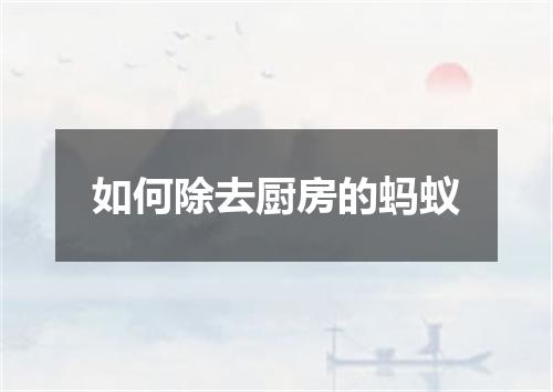 如何除去厨房的蚂蚁