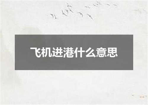 飞机进港什么意思
