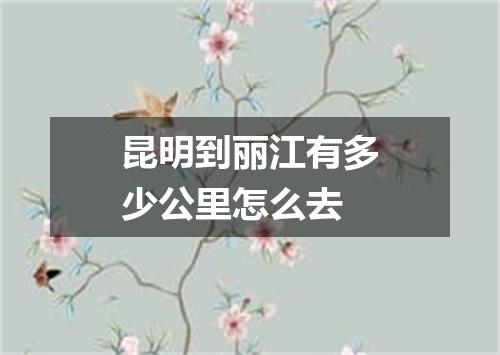 昆明到丽江有多少公里怎么去