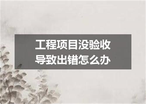 工程项目没验收导致出错怎么办