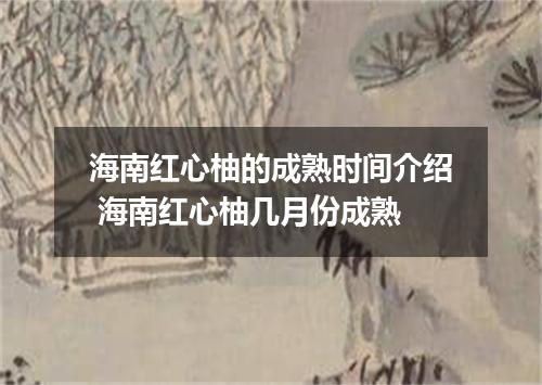 海南红心柚的成熟时间介绍 海南红心柚几月份成熟