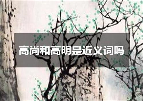 高尚和高明是近义词吗
