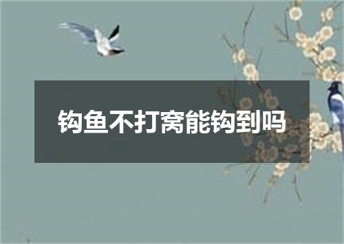 钩鱼不打窝能钩到吗