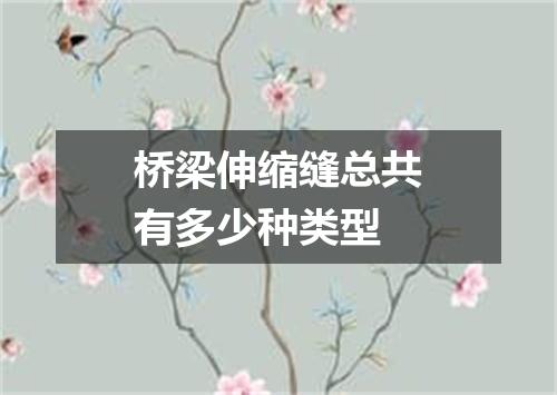 桥梁伸缩缝总共有多少种类型