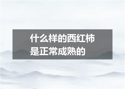 什么样的西红柿是正常成熟的