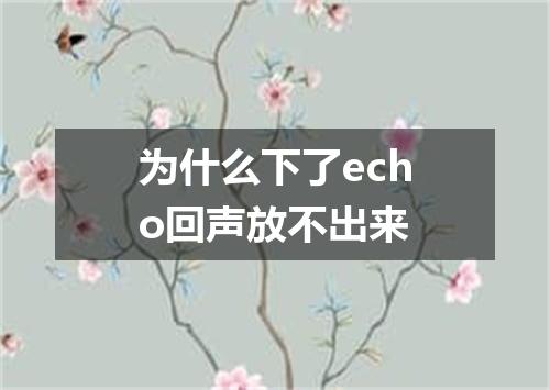 为什么下了echo回声放不出来