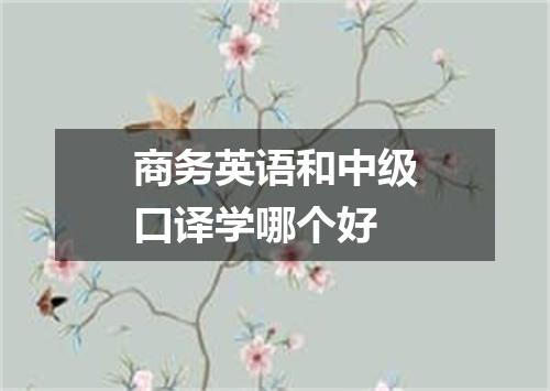 商务英语和中级口译学哪个好