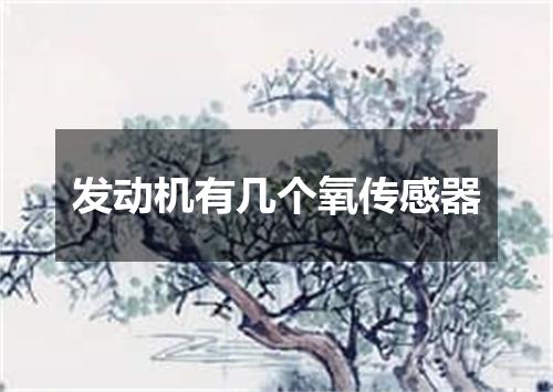 发动机有几个氧传感器