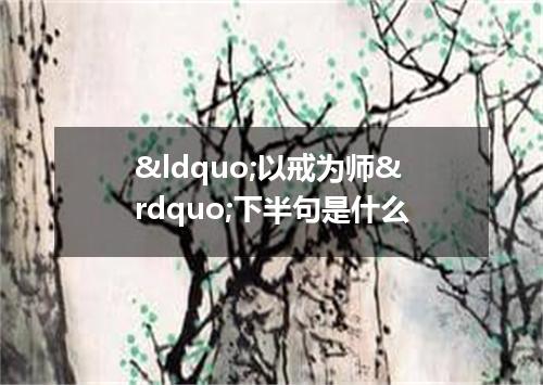 &ldquo;以戒为师&rdquo;下半句是什么