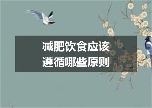 减肥饮食应该遵循哪些原则