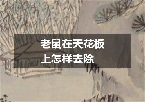 老鼠在天花板上怎样去除