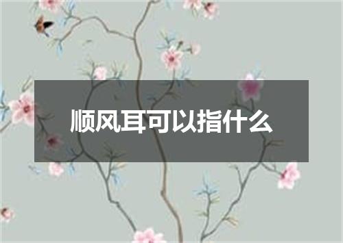 顺风耳可以指什么