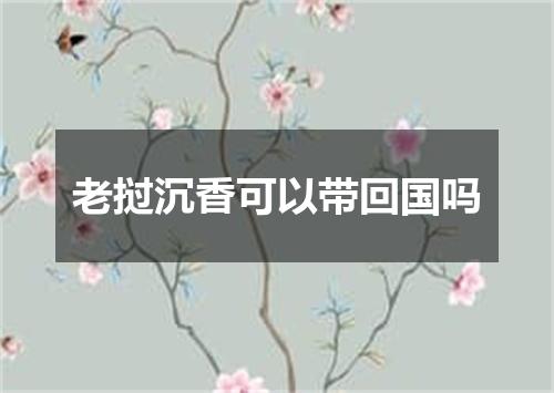 老挝沉香可以带回国吗