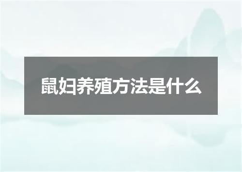 鼠妇养殖方法是什么