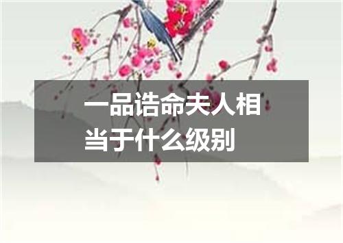一品诰命夫人相当于什么级别