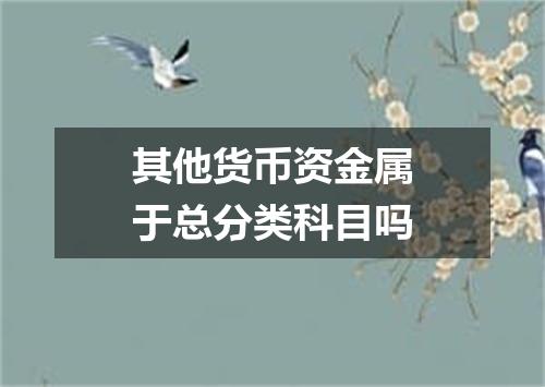 其他货币资金属于总分类科目吗