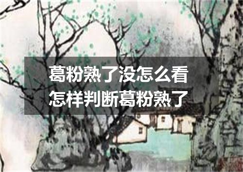 葛粉熟了没怎么看 怎样判断葛粉熟了