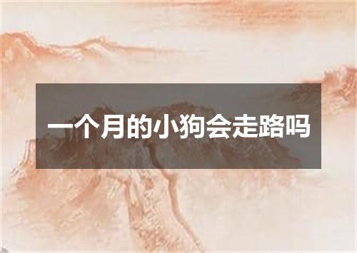 一个月的小狗会走路吗