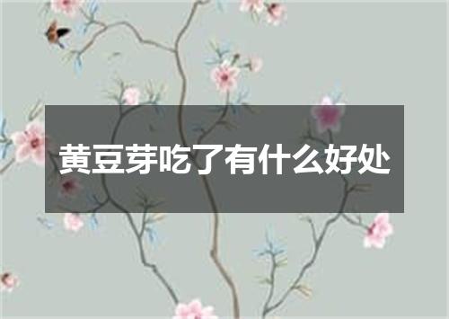 黄豆芽吃了有什么好处