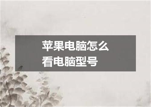 苹果电脑怎么看电脑型号