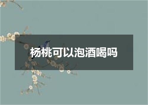 杨桃可以泡酒喝吗