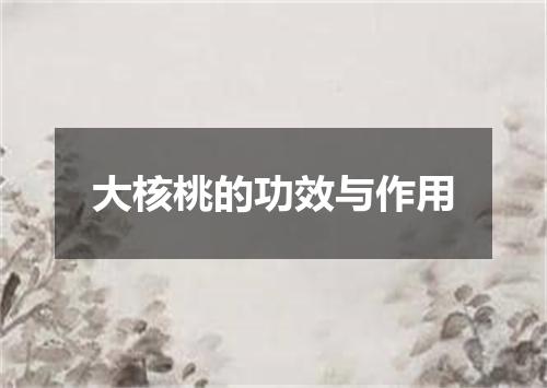 大核桃的功效与作用