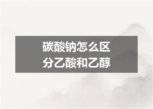 碳酸钠怎么区分乙酸和乙醇