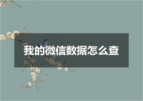 我的微信数据怎么查