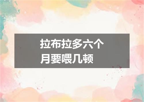 拉布拉多六个月要喂几顿