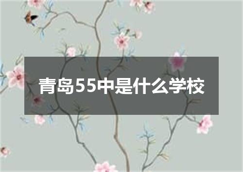 青岛55中是什么学校