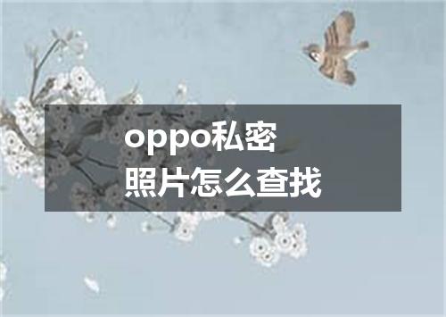oppo私密照片怎么查找