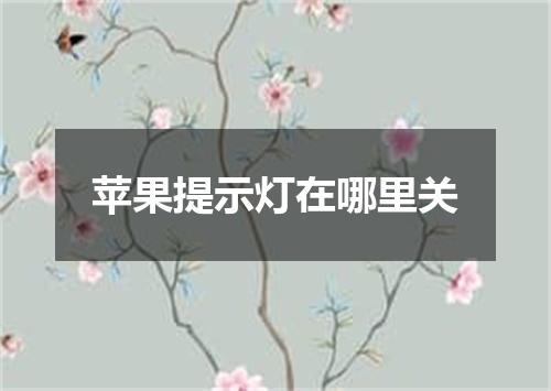 苹果提示灯在哪里关